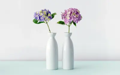 10 Meaningful Things to Do With Your Pet’s Ashes