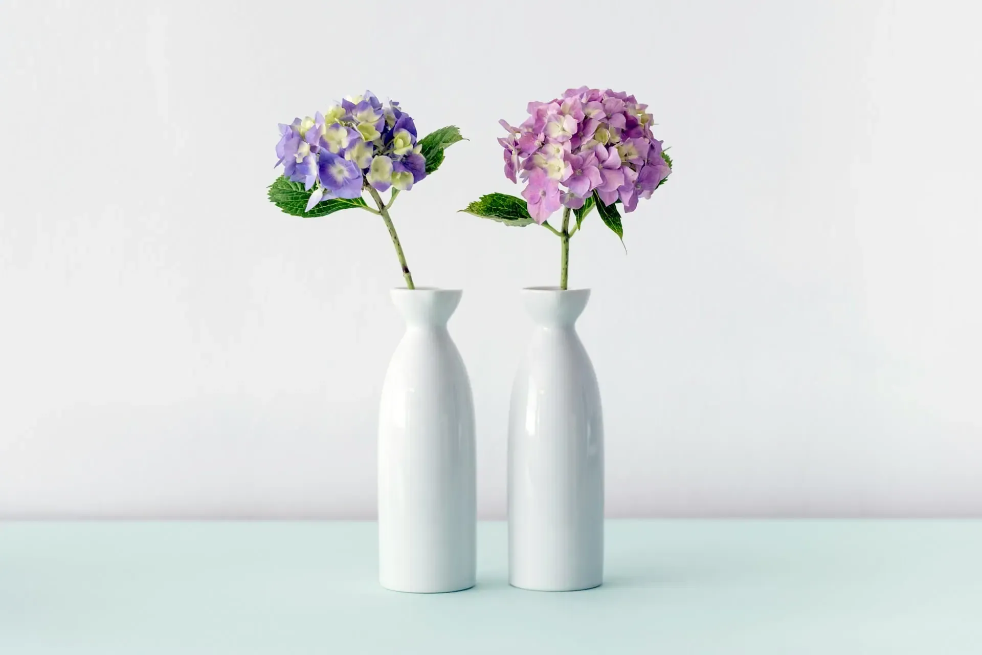 10 Meaningful Things to Do With Your Pet’s Ashes