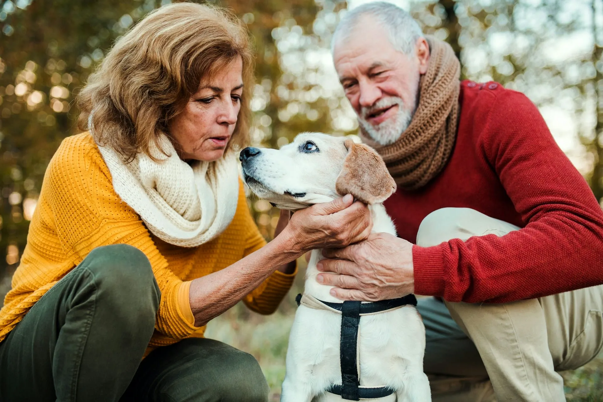 5 Comforting Poems for Pet Loss Grief That Heal Your Heart