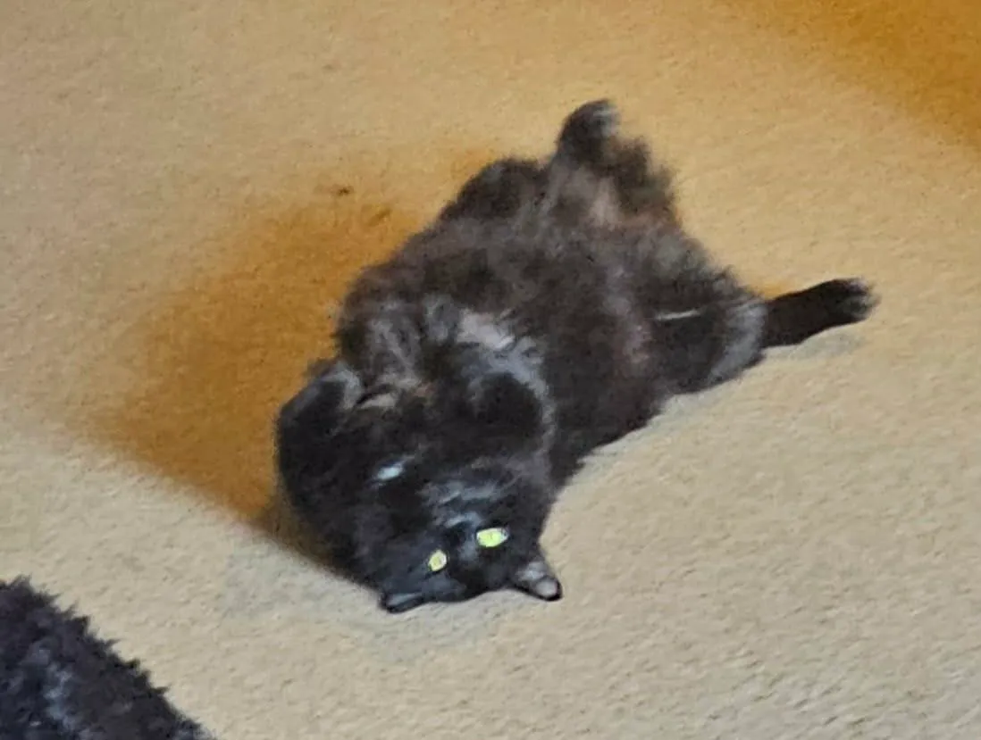 Binx