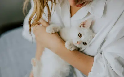 Can’t Afford Pet Treatment? Your Options & Support