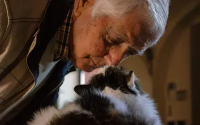Pet Loss vs Human Loss: Why the Grief Is Different