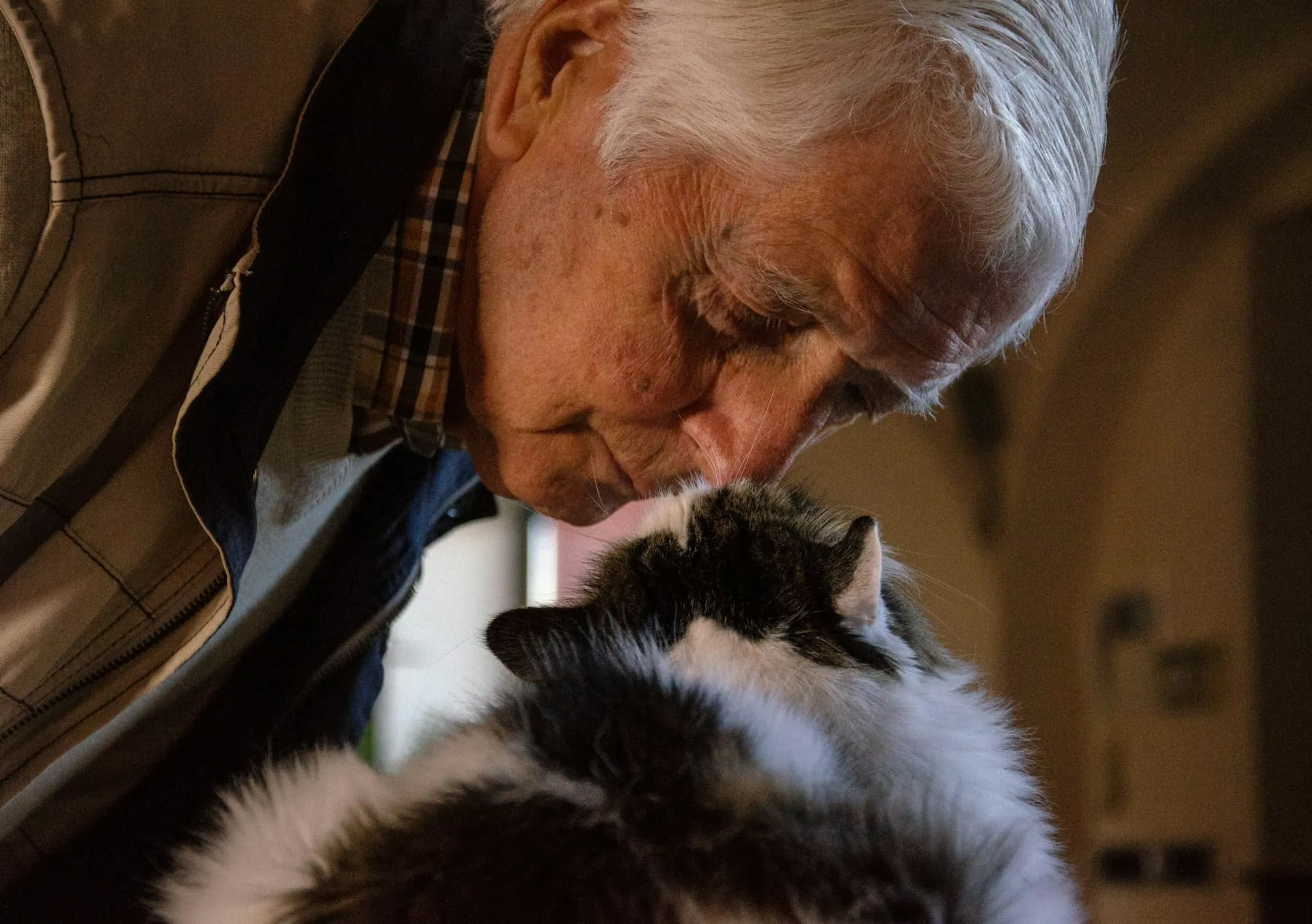 Pet Loss vs Human Loss: Why the Grief Is Different
