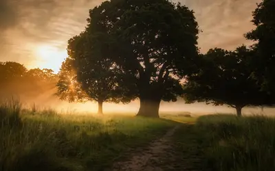 Do Pets’ Spirits Stay With Us After They Pass Away?
