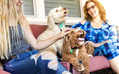 Dog Breed Life Expectancy: How Long Will Your Dog Live?