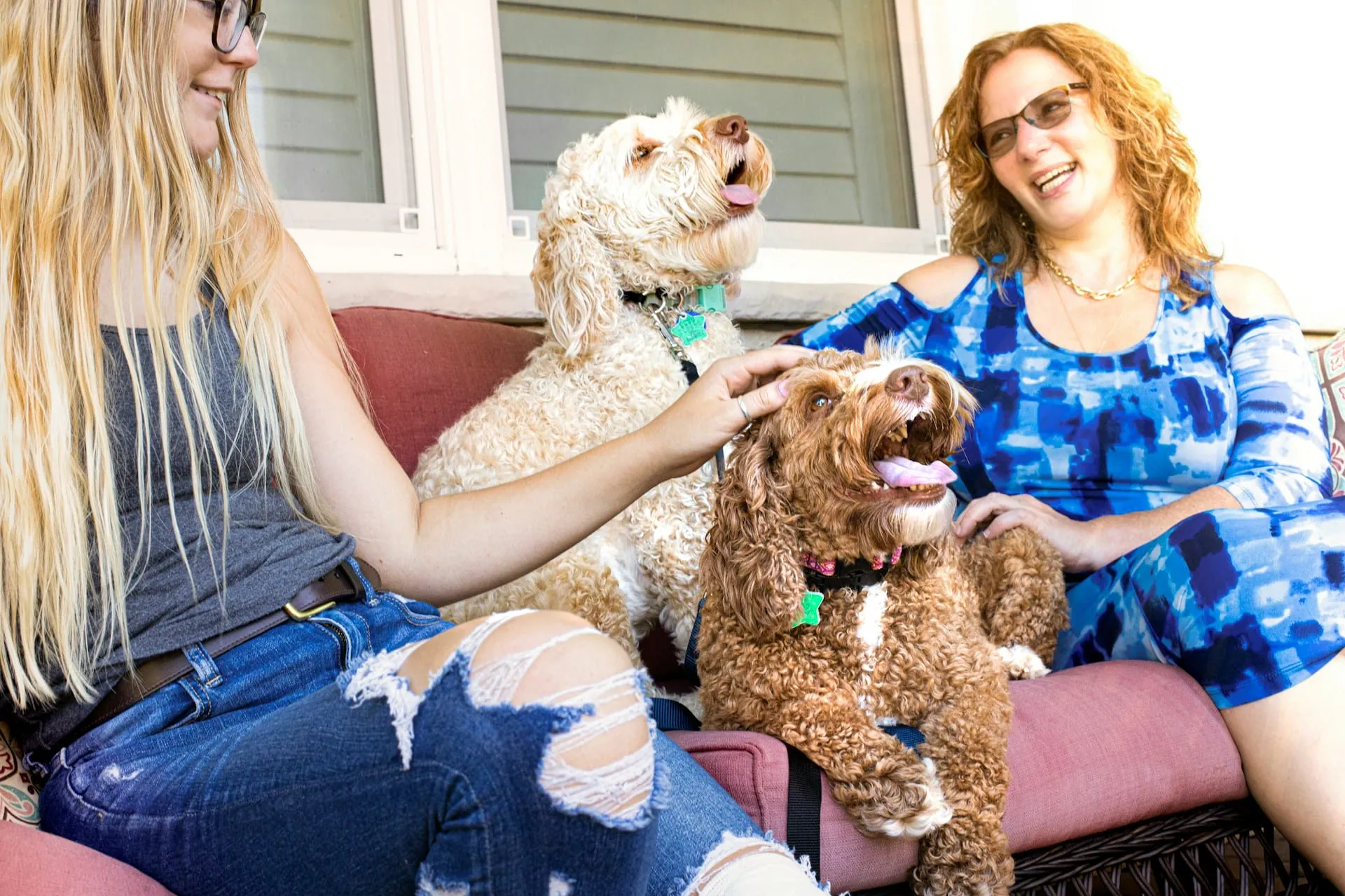 Dog Breed Life Expectancy: How Long Will Your Dog Live?