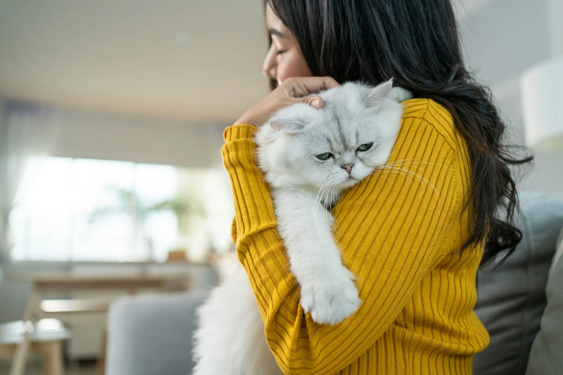 Having Second Thoughts About Euthanizing Your Pet
