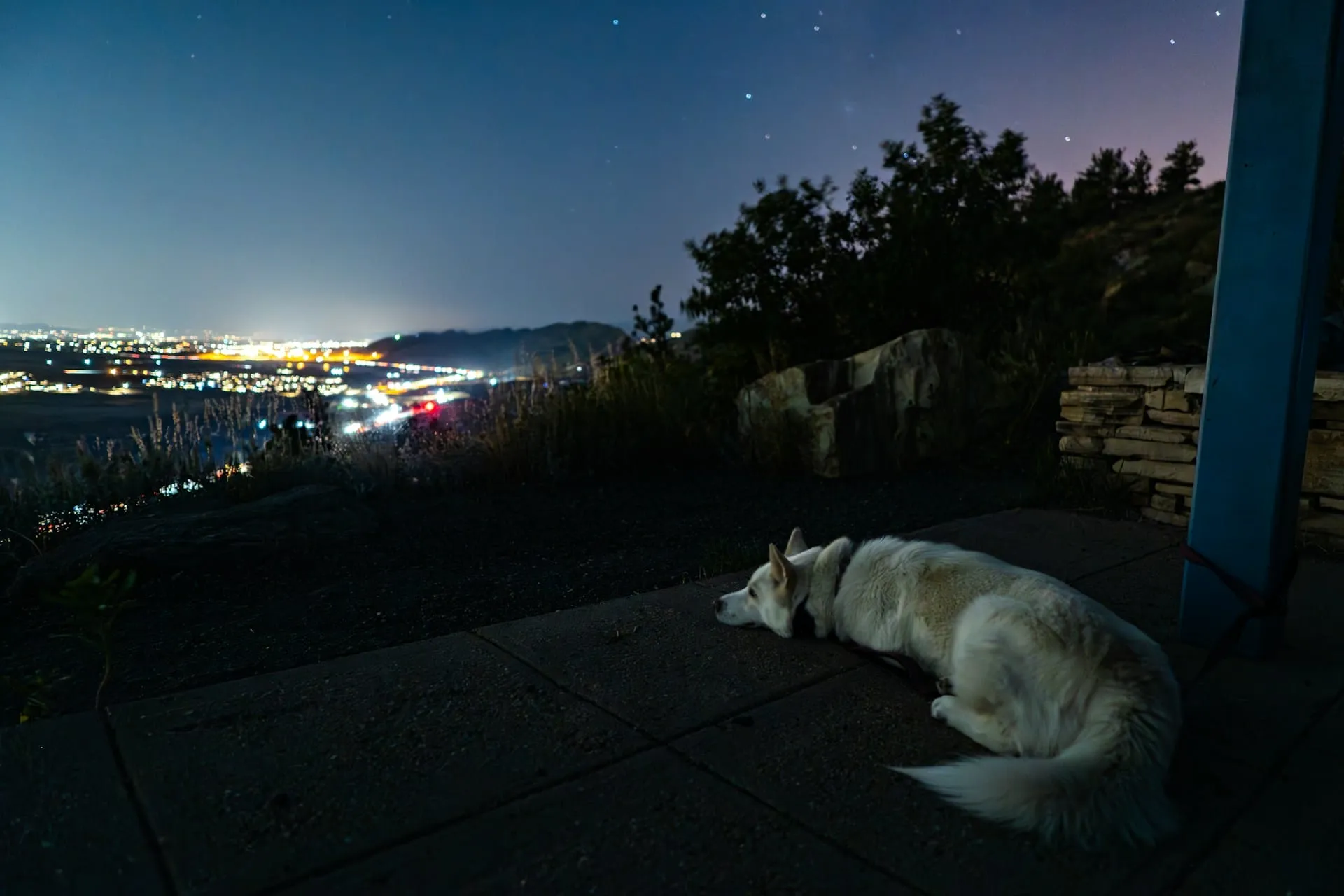 How To Find The NASA Photo From Day Your Pet Passed Away