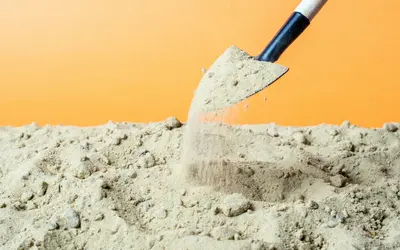 How to Bury a Dog at Home (and What Changes for a Cat)