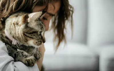 How to Enjoy Every Moment With Your Senior Cat