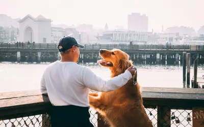 How to Enjoy Every Moment with Your Senior Dog