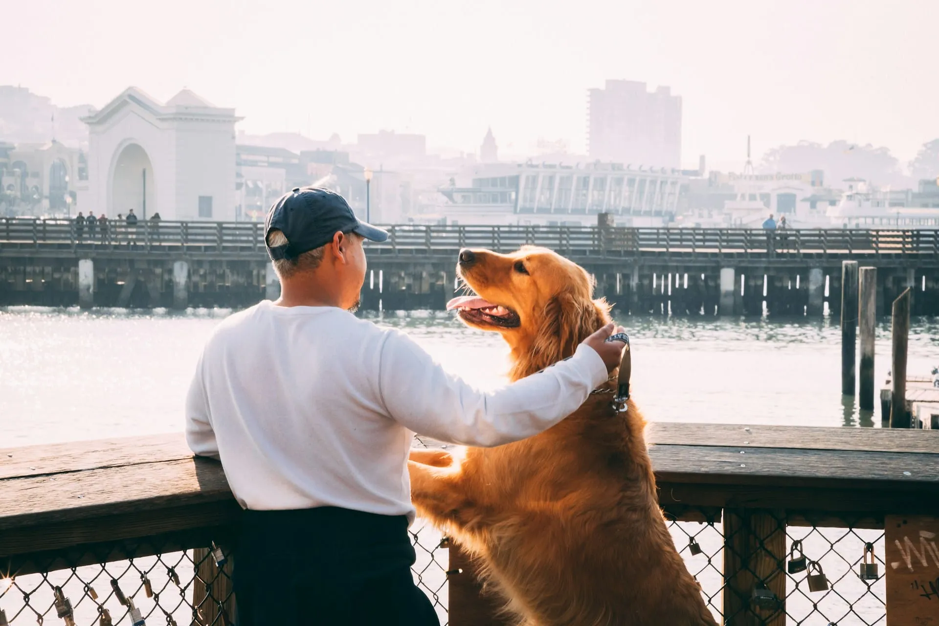 How to Enjoy Every Moment with Your Senior Dog