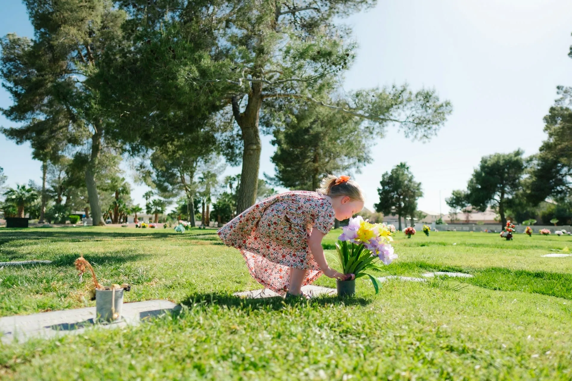 How to Find A Pet Cemetery Near Me