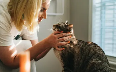 How to Find In-Home Euthanasia Services Near Me