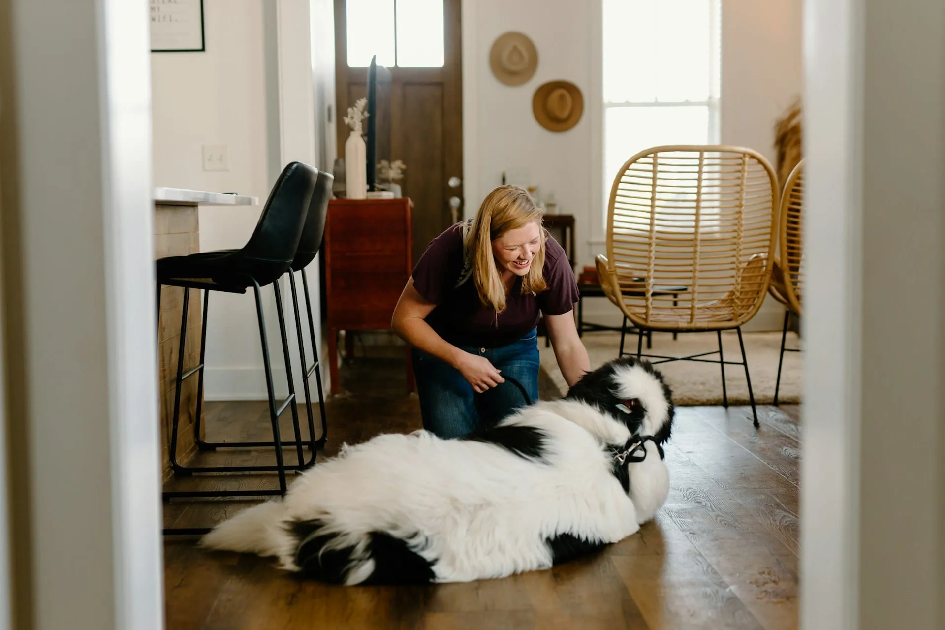 How to Find Pet Hospice Care Near Me or Virtually