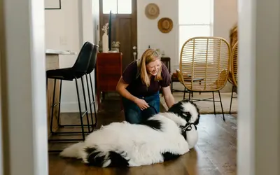 How to Find Pet Hospice Care Near Me or Virtually