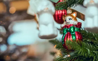 How to Honor Your Pet During the Holidays