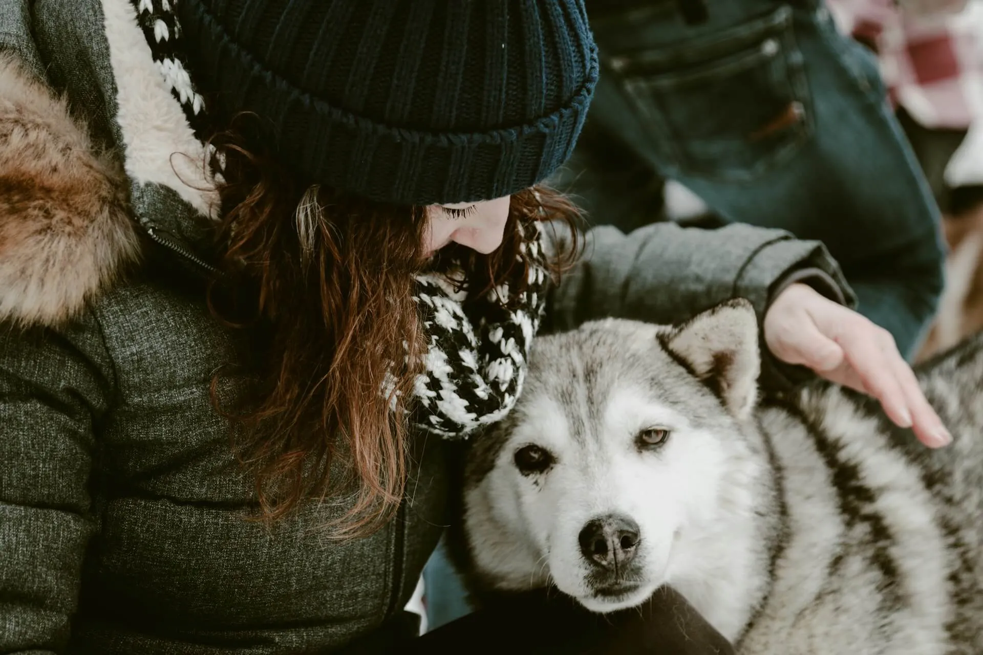 How to Mentally Prepare for the Death of a Pet: A Compassionate Guide for Pet Parents