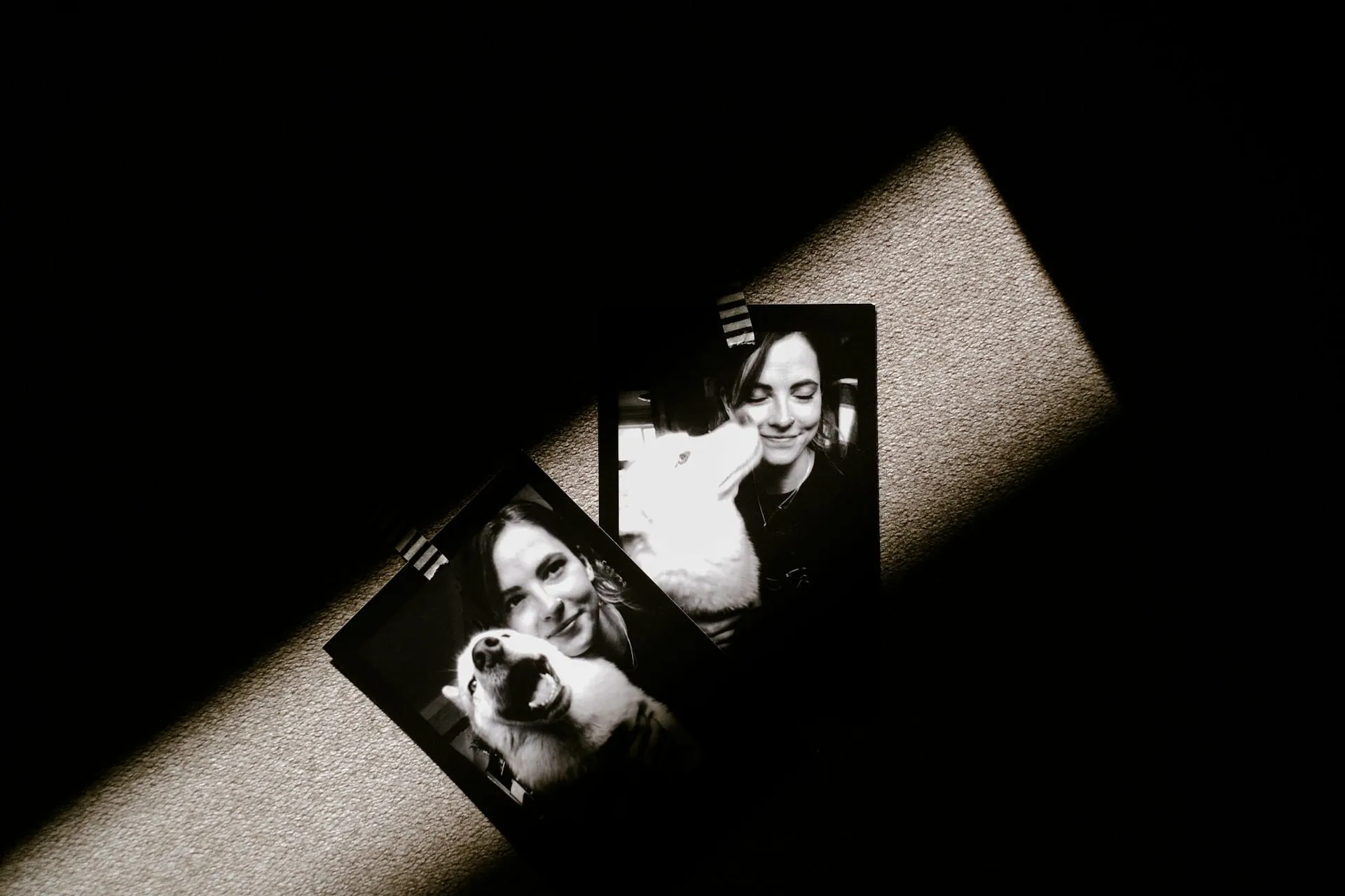 How to Preserve Pet Memories After Loss: A Gentle Guide