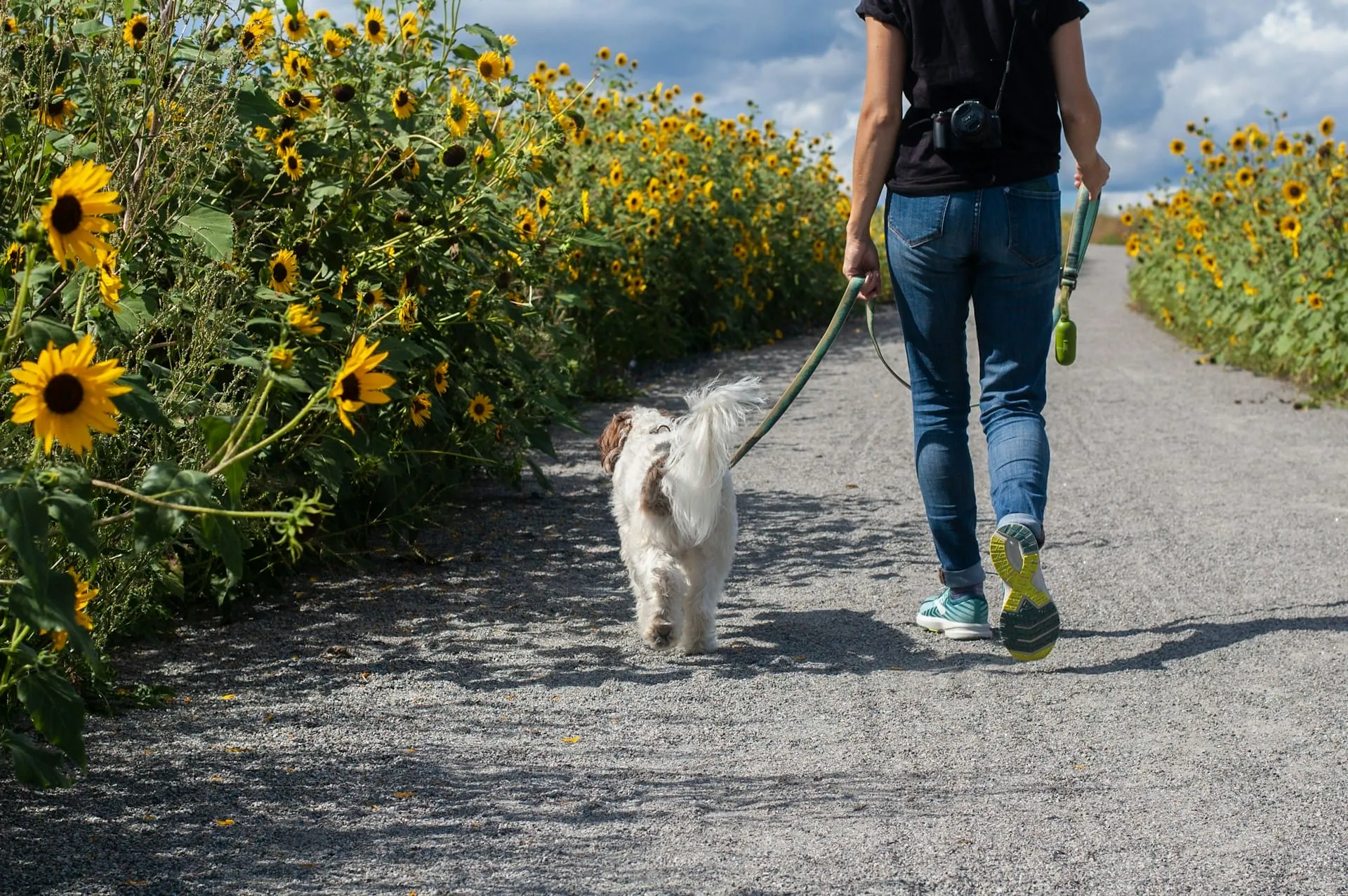 How to Rebuild Your Routine After Pet Loss