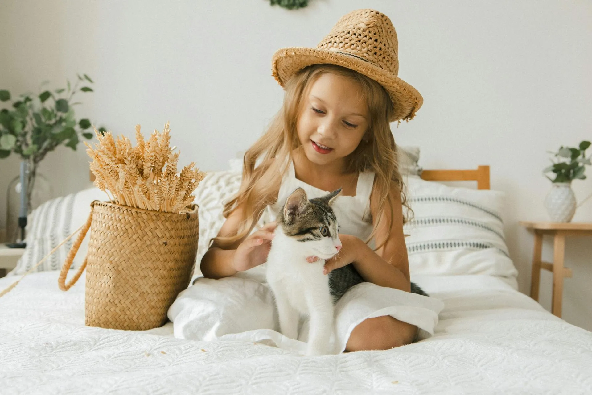Life Expectancy of Cat Breeds: How Long Will Your Cat Live?