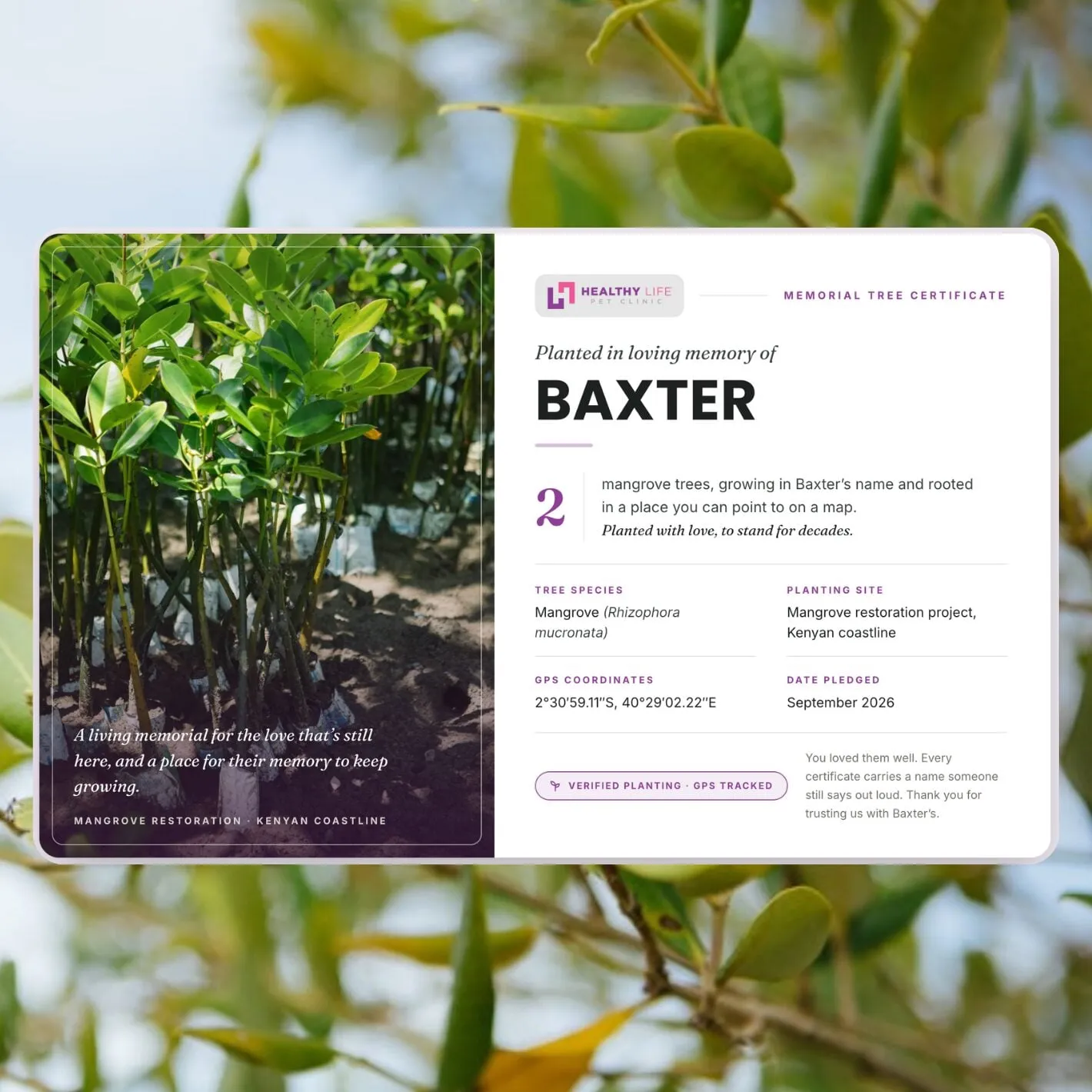 Love, Baxter memorial tree planting service with branded certificates