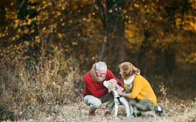 Exercise for Senior Dogs and Cats: How Much and What’s Safe