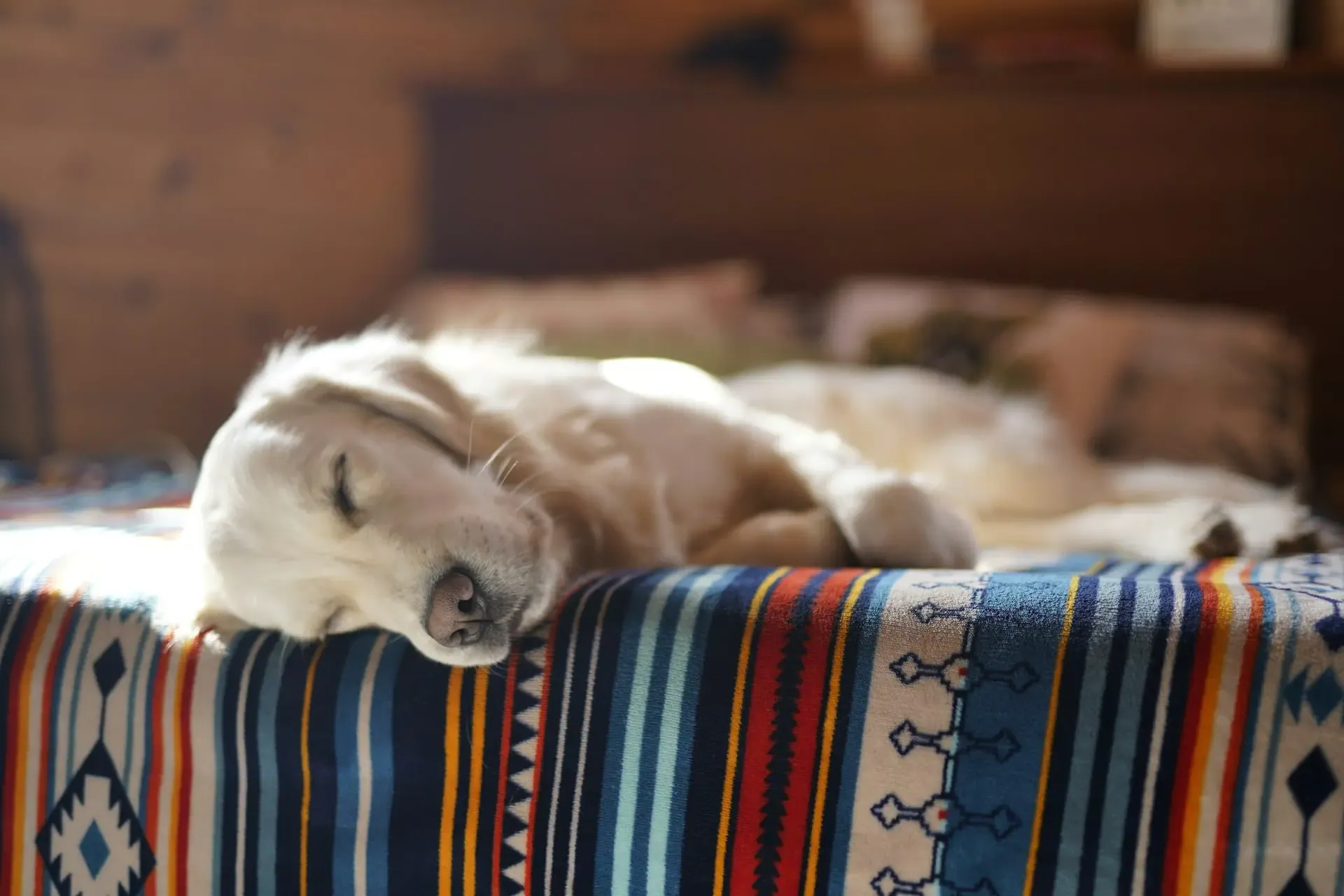 Native American Pet Memorial Traditions