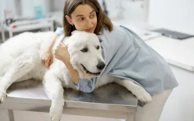 Pet Caregiver Fatigue: Signs, Causes, and Relief Strategies