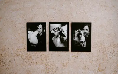 Pet End of Life Photography: Healing Through Final Memories