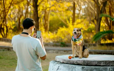 Pet End of Life Photo Shoot Ideas: Meaningful Ways to Capture Final Moments