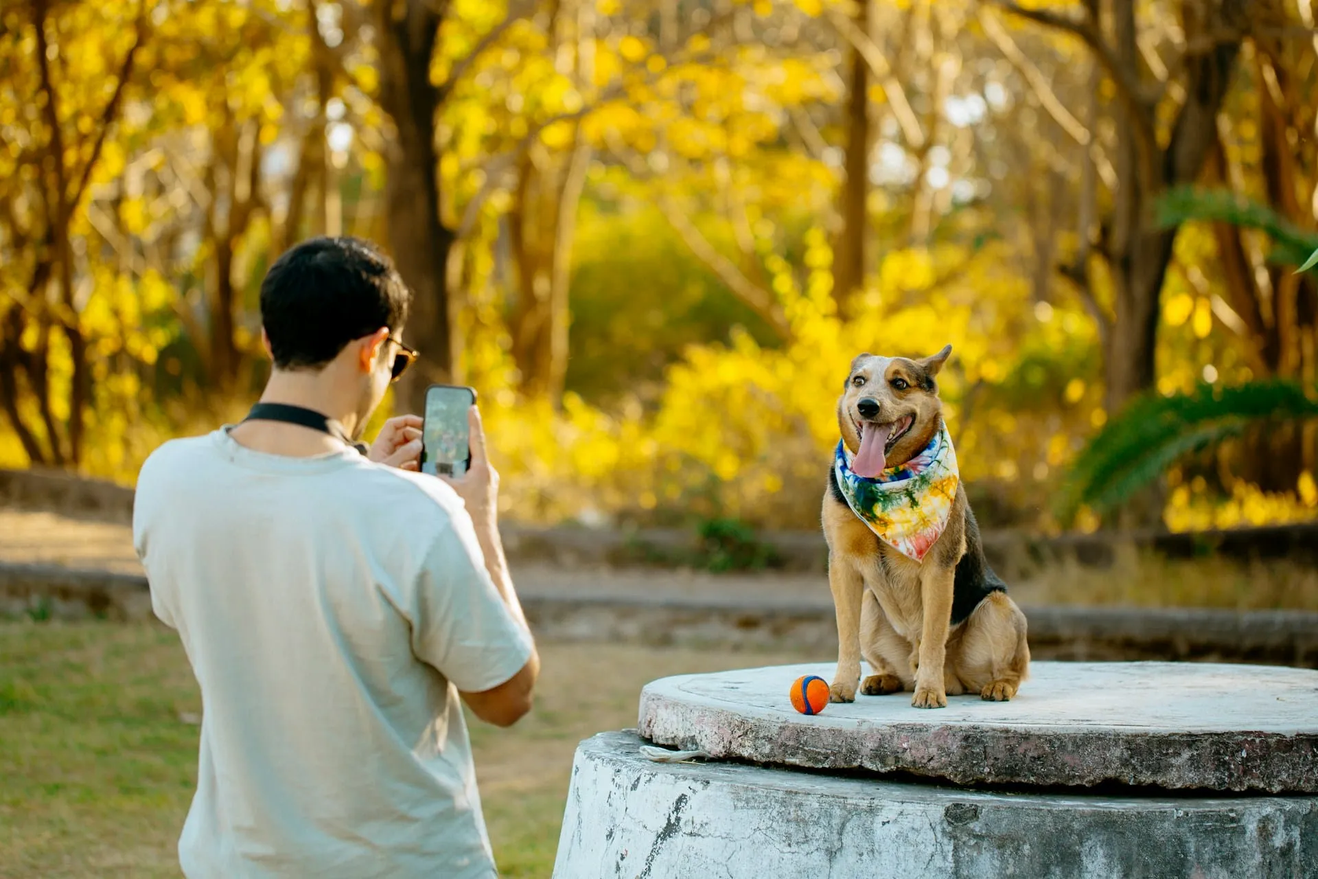 Pet End of Life Photoshoot Ideas for Final Memories
