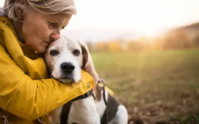 Pet End-of-Life Questions: Expert Answers for Difficult Decisions