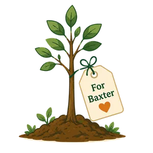 Pet memorial tree