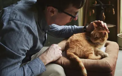 Pet Terminal Diagnosis: Which Professionals Can Help You Plan