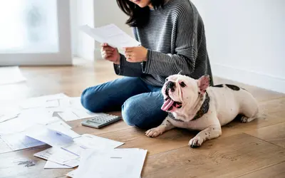 Pet Trusts 101: Legally Securing Your Pet’s Future