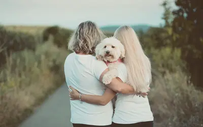 Preparing for Pet Euthanasia: A Complete Planning Guide