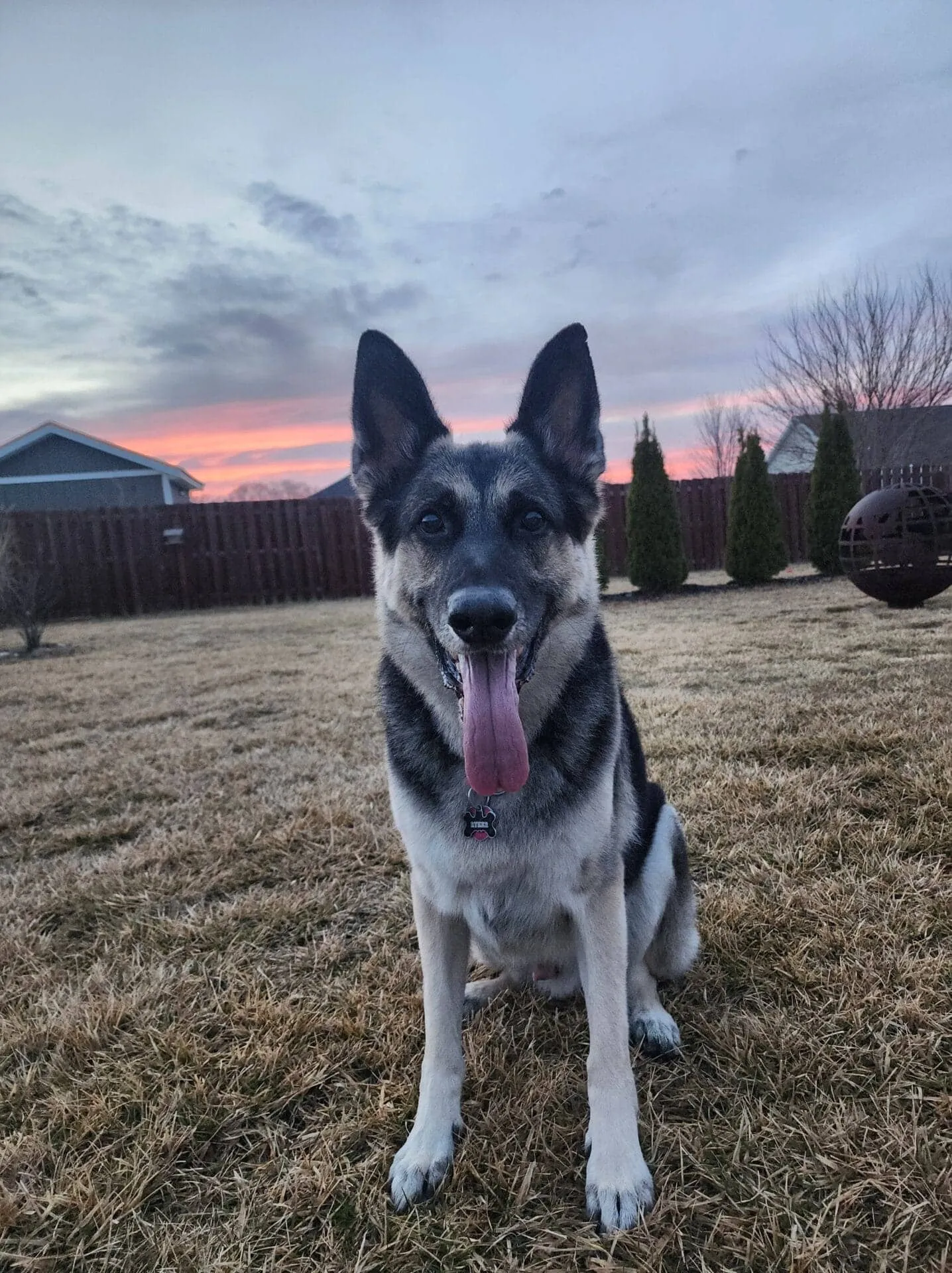 Ryker