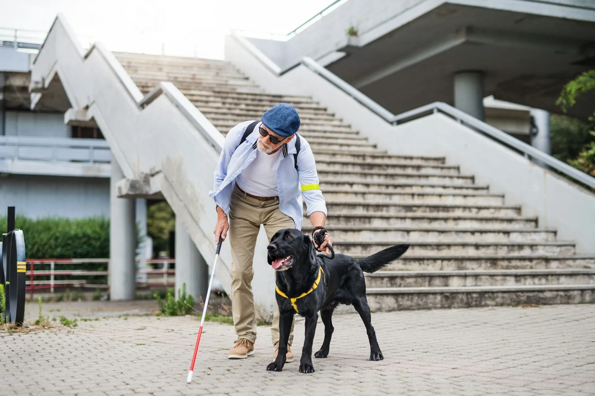 Service Dog Loss: How to Navigate the Dual Trauma