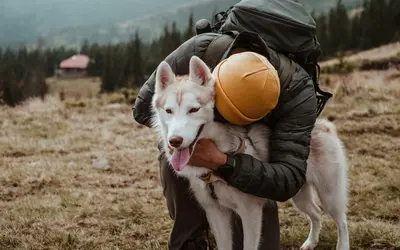 Anticipatory Grief Symptoms and Signs Before Losing a Pet