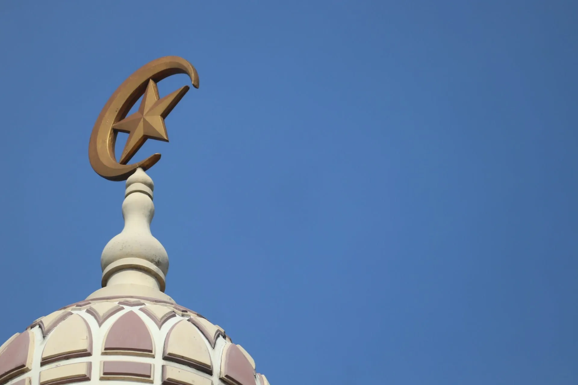 What Does Islam Say About Pets in the Afterlife?