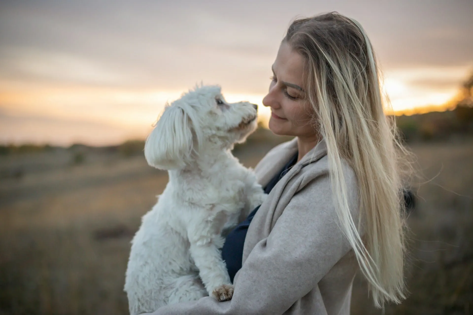 What Is a Soul Pet? Understanding A Once-in-a-Lifetime Bond