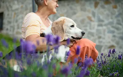 What Not to Say to Someone With a Senior Pet: Words That Hurt