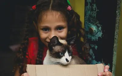 When Children Blame You for a Pet’s Death