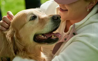 Where to Find Support for Anticipatory Pet Grief