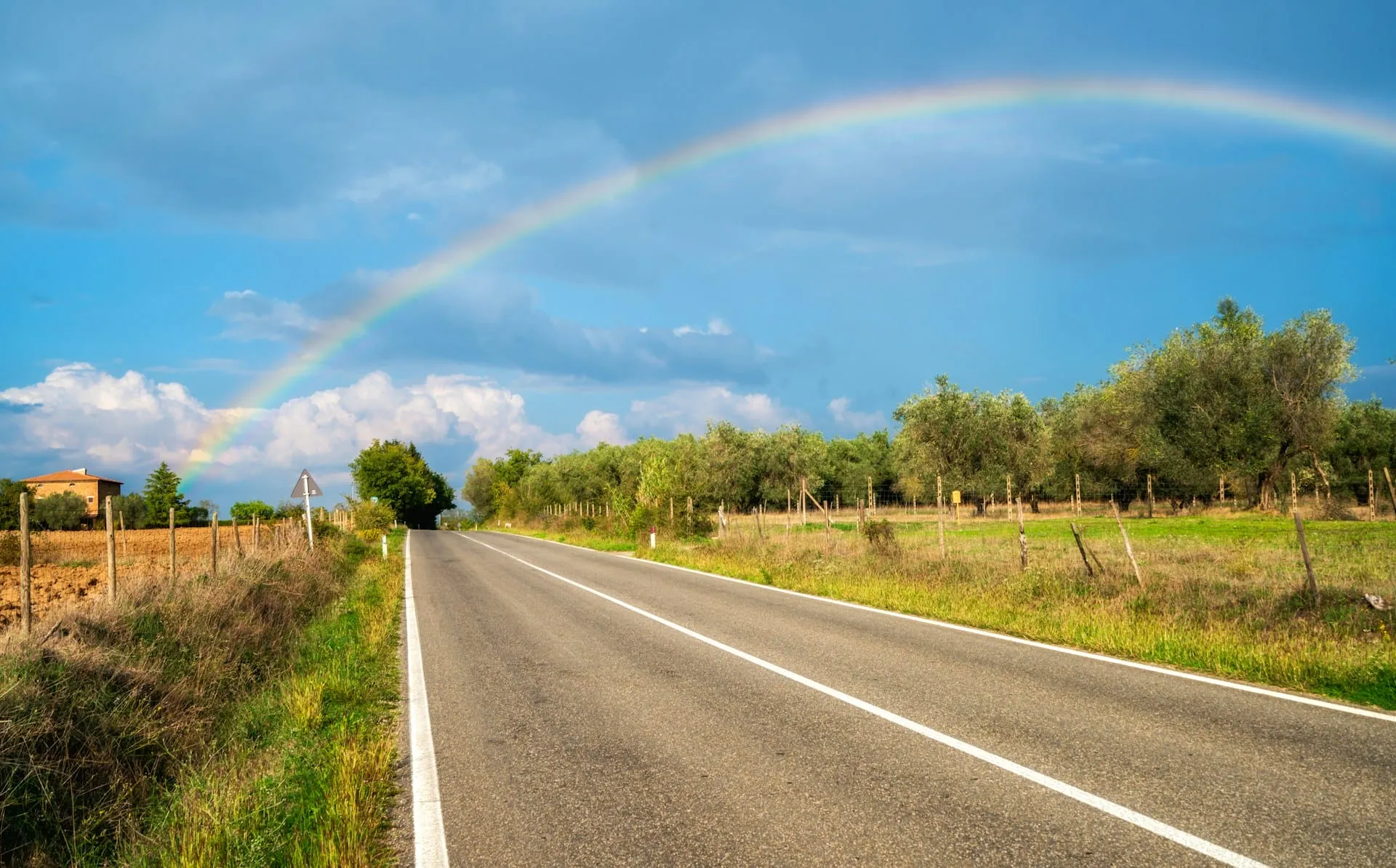 Why Am I Not Seeing Signs from My Deceased Pet?