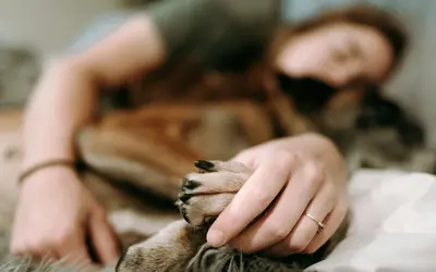 Why Being Present During Pet Euthanasia Matters