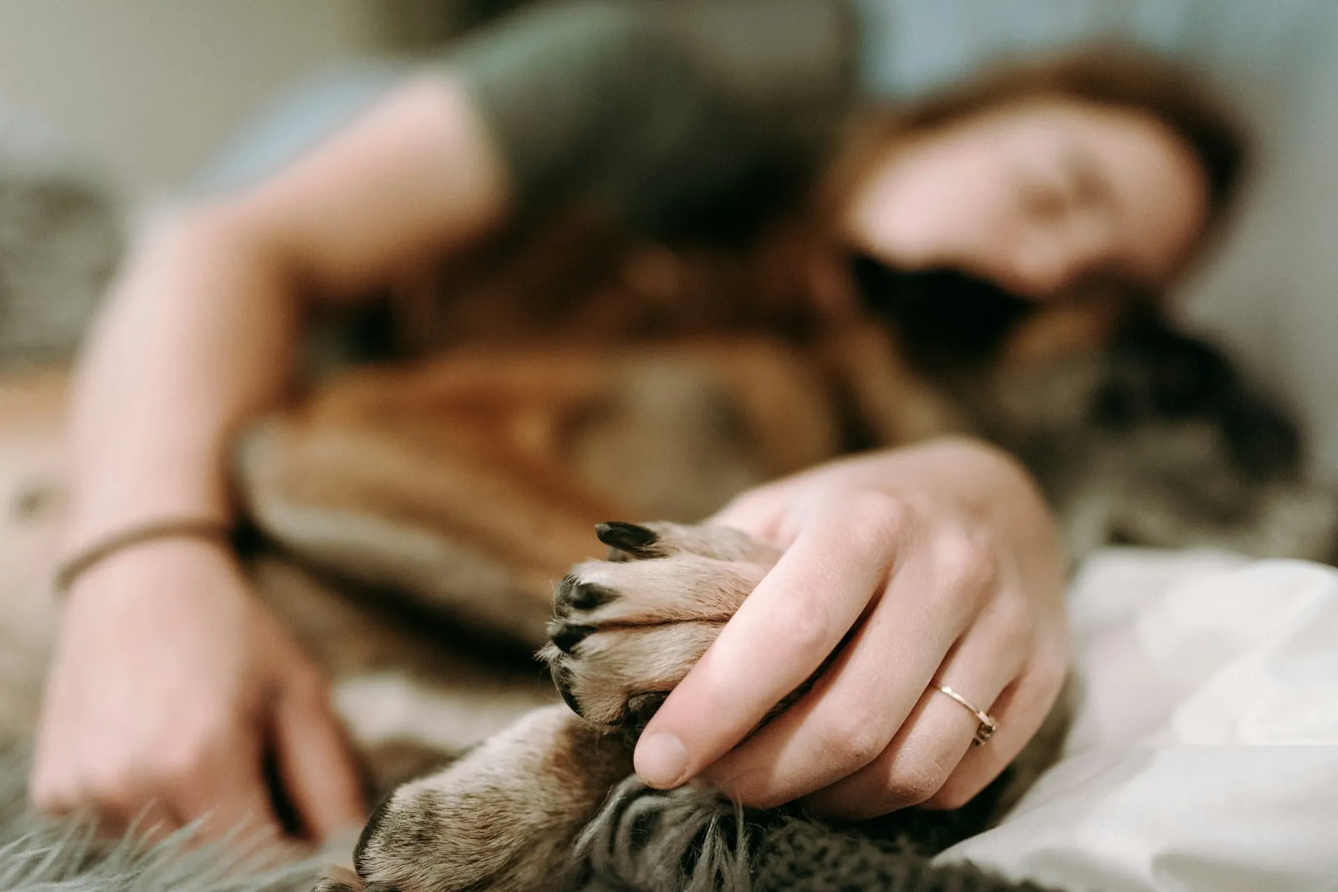Why Being Present During Pet Euthanasia Matters