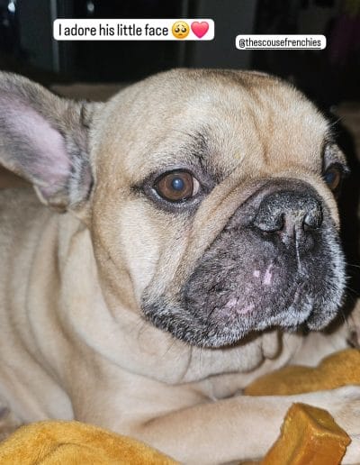 Hugo
