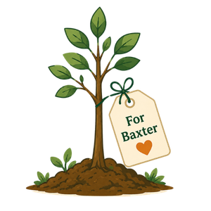 Pet memorial tree
